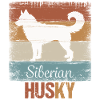 Siberian Husky Schlittenhund