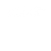 Billard Evolution