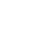 Bichon Frize