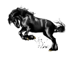 cheval