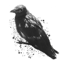 Der Rabe Edgar Allan Poe