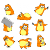 hamster yoga