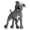 Staffordshire Bull Terrier