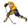 hockey