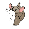 Chinchilla Pet Sweet Lover