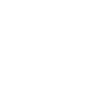 Bison Buffalo