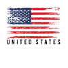 American Flag Distress