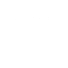 professional