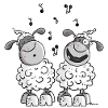 Musical Sheep
