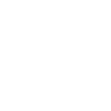 Brain areas functions