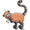 Funny Coati