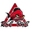 Rostock Ice Hockey