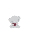 Éléphant éléphant - fan d'éléphant - café