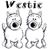 Cute West Highland Terrier
