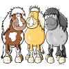 Funny Shetland ponies