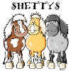 Three Shetland ponies