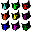 Cat Warhol