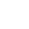 US Army