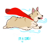 Supersankarikoira Corgi hauska eläin lemmikki lahja