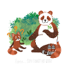 Panda Fox Bear Funny Cool Funny Gave