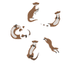 Otter Chaos