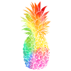 Ananas LGBT Gay Pride Regenbogen