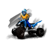 Quad