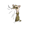 Ferret pet sweet lover polecat