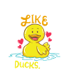 duck