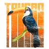 Tukan South America