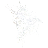 The White Raven
