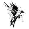The Black Raven