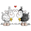 Sheep in love