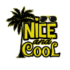Nice and cool summer sunglasses