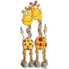 Verliebte Giraffen