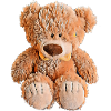 Cute Teddy Bear