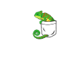 Chameleon reptile gift