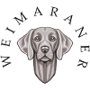 Weimaraner