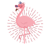 flamingo