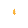 Plant Trees