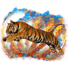 Tigr