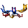 skydivers