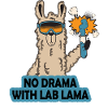 No Lab Drama Lama