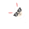 Alpaka Lama mit Sonnenbrille