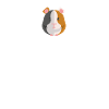 guinea pigs t shirt