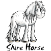 White Shire Horse