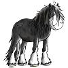 Happy Shire Horse