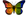 Rainbow Butterfly