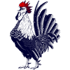 Coq - Equipe de France