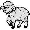 SHEEP sweet